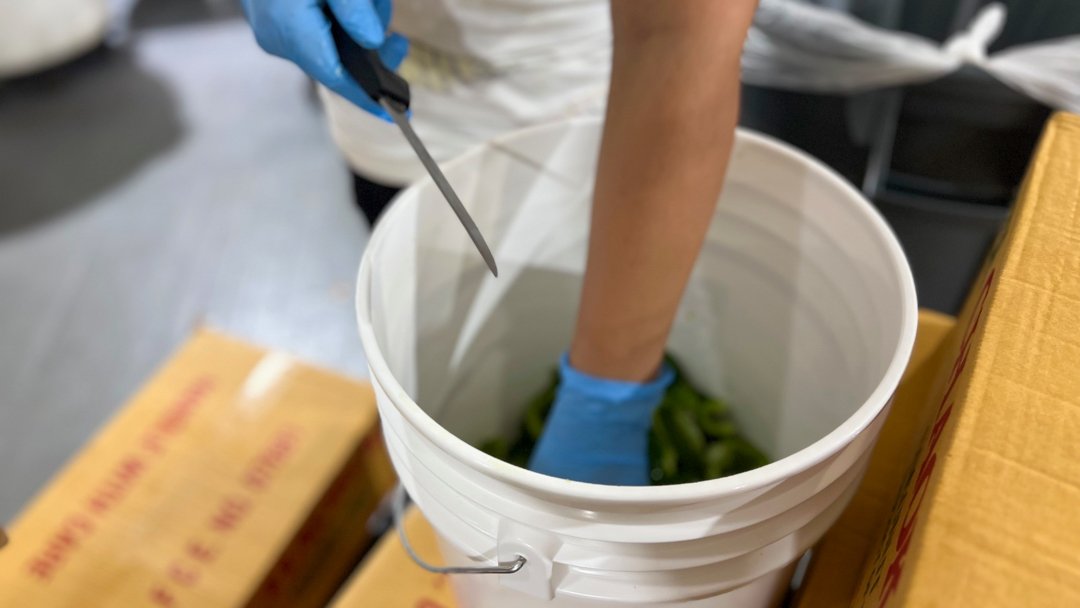 Sonoma Farm Co-Packing Employee Bottles Preps Peppers For Curry
