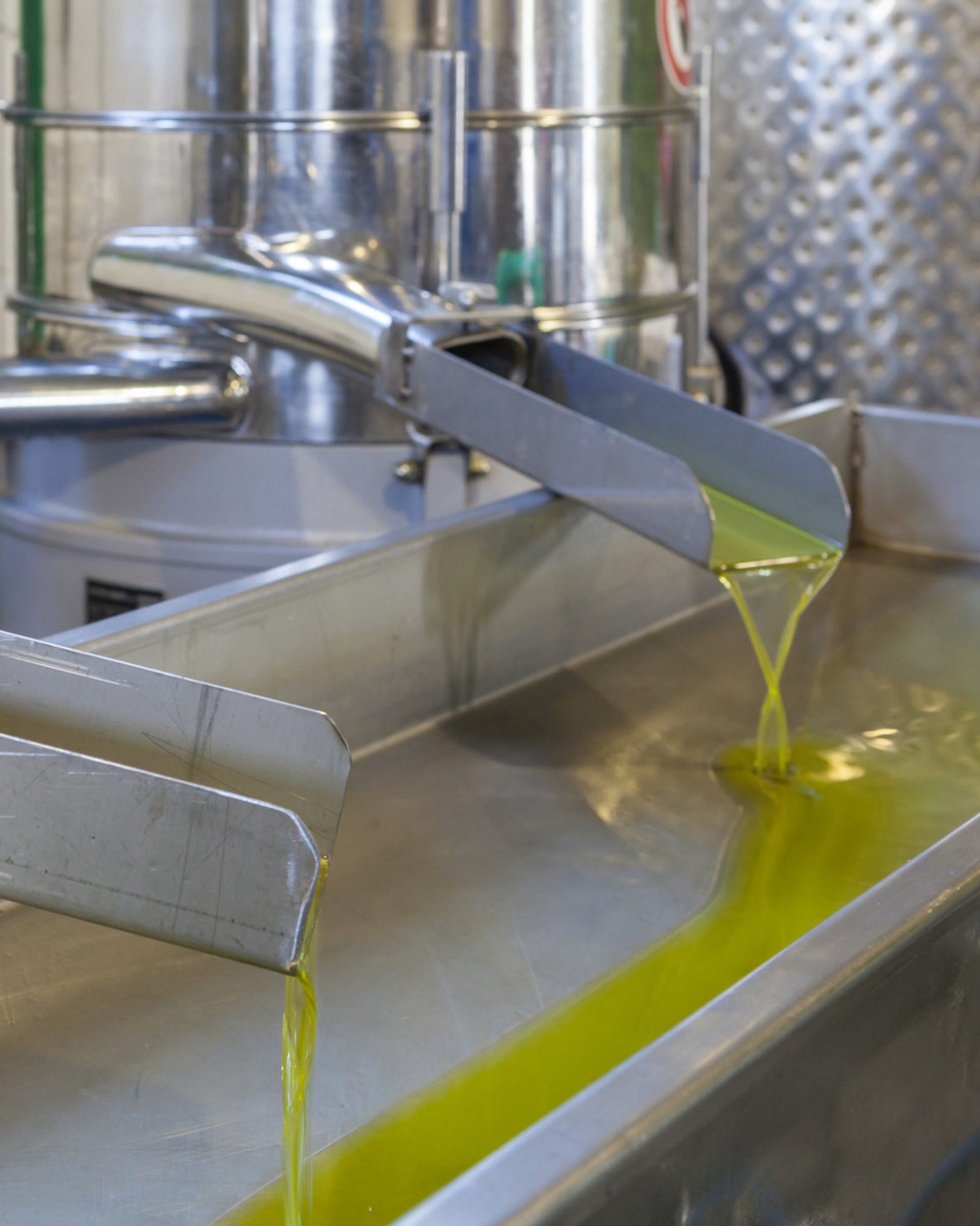 Sonoma Farm Co-Packing Olive Oil Production - Cold Pressing